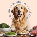 Alsa Nature Dog Food