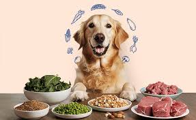 Alsa Nature Dog Food